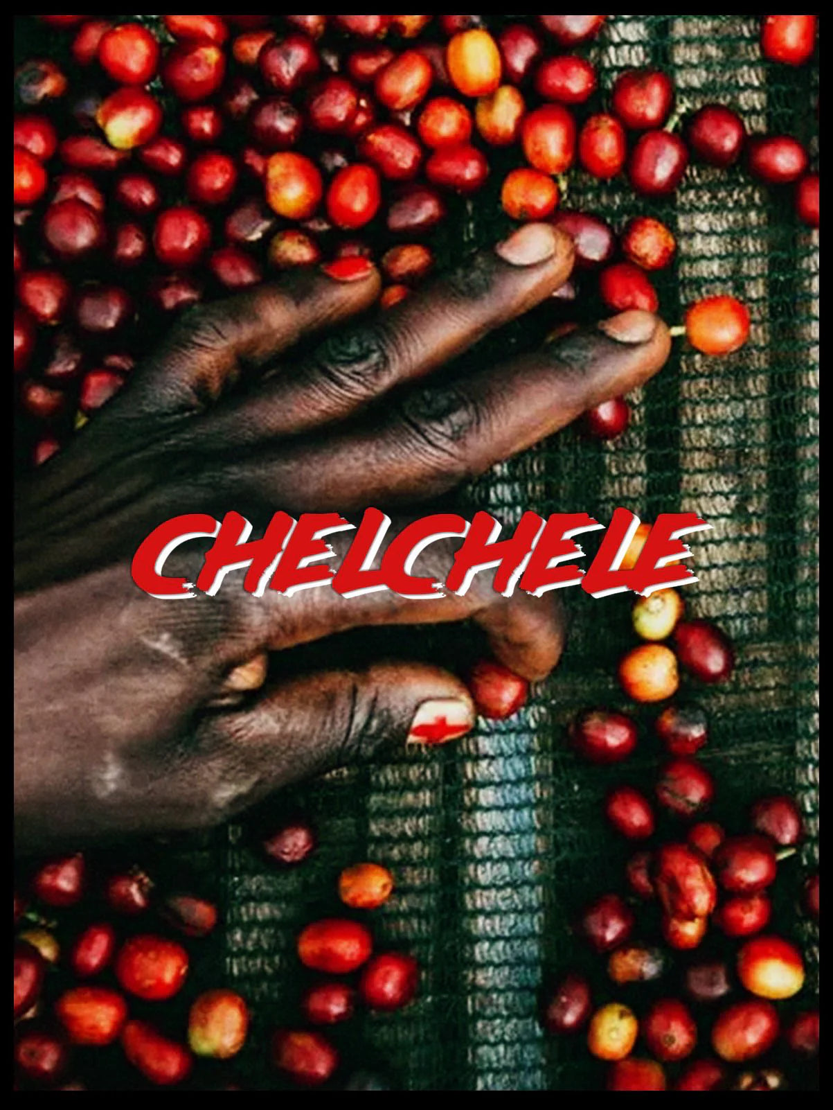 Südseite - Chelchele (Omni Roast)