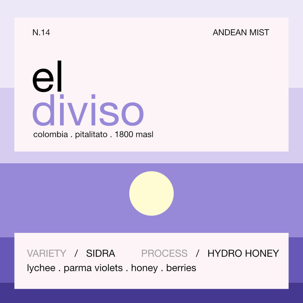 Still Coffee Roasters - El Diviso Sidra (Filter)
