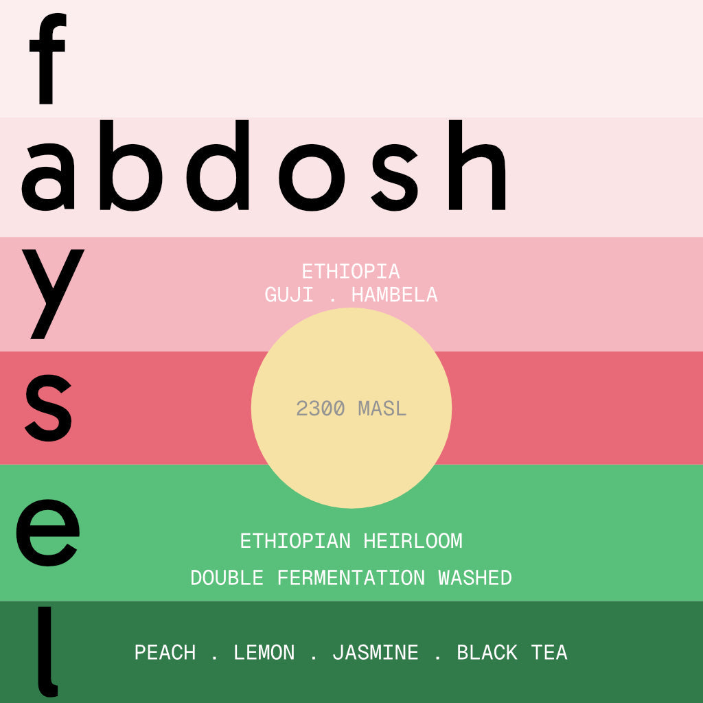 Still Coffee Roasters - Faysel Abdosh(Filter)