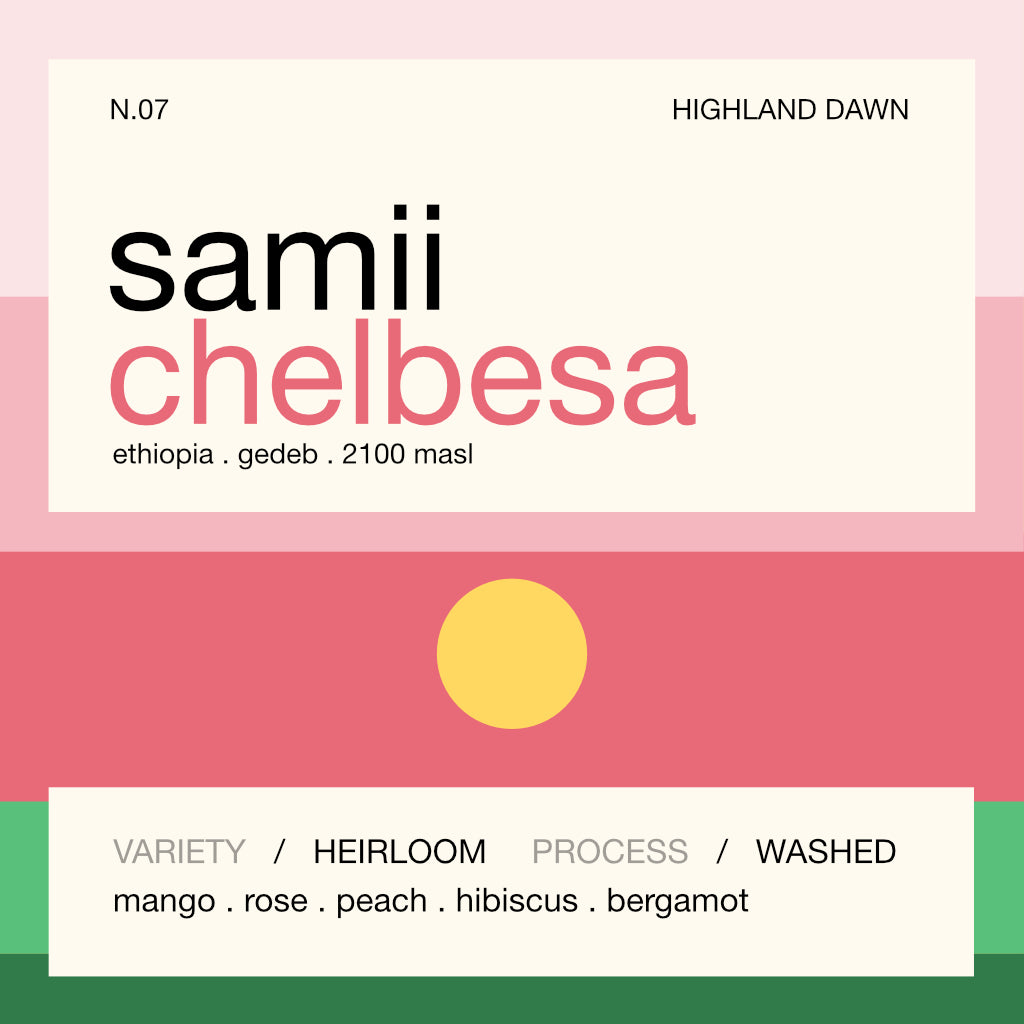 Still Coffee Roasters - Samii Chelbesa (Filter)