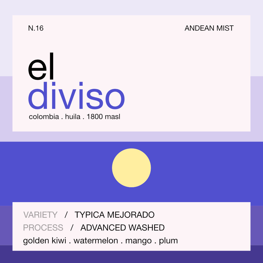 Still Coffee Roasters - El Diviso Typica (Filter)